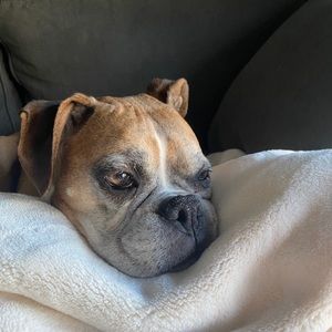 Meet your Posher, Cooper